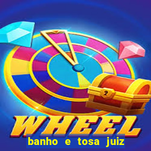 banho e tosa juiz de fora